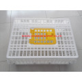cheapest plastic chicken transport crate for sale